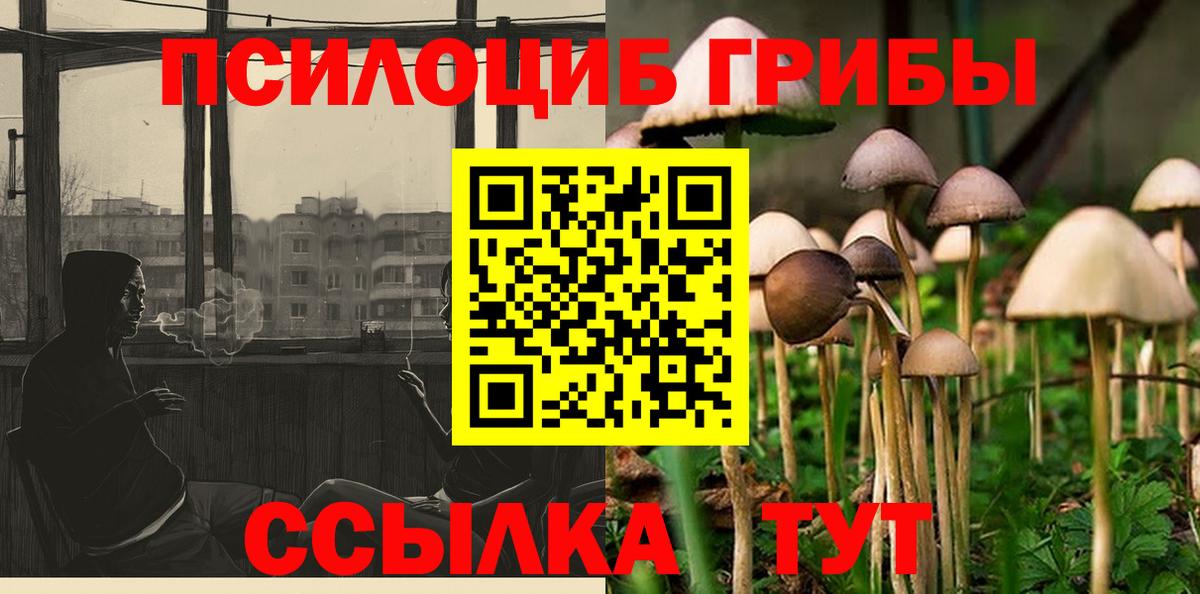Люберцы  где продают наркотики  Вход с VPN  Галлюциногенные грибы Psilocybe 